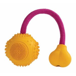 A403032 HIPHOP Zabawka na sznurku do czyszczenia zębów DENTAL 6/25cm