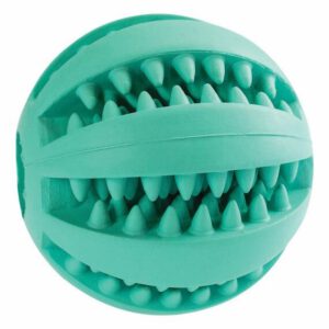 A403362 HIPHOP Piłka do pielęgnacji zębów o smaku miętowym DENTAL 6cm