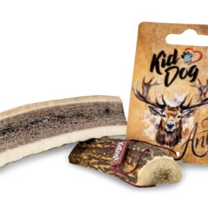 A02401 KIDDOG Poroże, połówka poroża jelenia - S