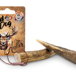 A02412 KIDDOG Antler, całe poroże jelenia - M