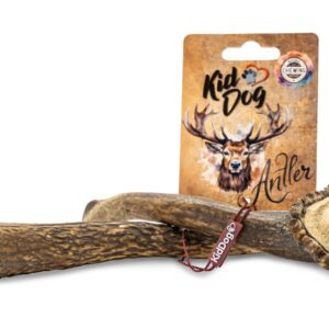 A02413 KIDDOG Antler, całe poroże jelenia - L