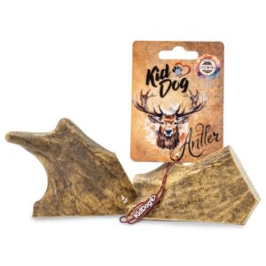 A02422 KIDDOG Antler, poroże jelenia - M