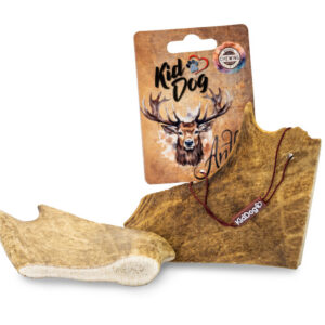 A02423 KIDDOG Antler, poroże jelenia - L