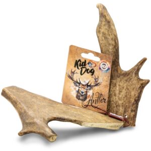 A02425 KIDDOG Antler, poroże jelenia - XL