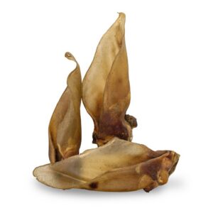 A77802 KIDDOG 100% naturalna przekąska, ucho wołowe - Jumbo XXL